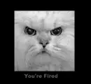 Youre Fired!