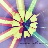 360 colours