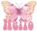 hello butterfly