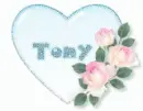 Tony blue heart flowers