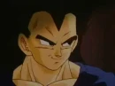 vegeta 