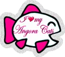 I Love my Angora Cats