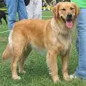 doggy!!!!!!!!!!!!!!!!!!!!!!!!