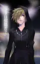 Roxas-Number 13