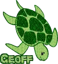 Geoff - Turtle