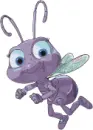 bug