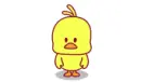 duckiee