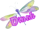 Dragonfly Dinah