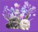 Cats with Orchids Tag