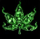 MARIHUANA