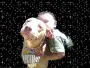 Boy playing with dog