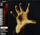 Steal This Album - S.O.A.D.