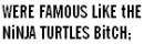 were famous like ninja turtles