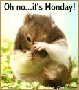 monday