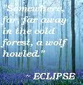 Eclipse Quote
