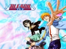 ichigo and rukia