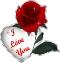 I Love You Rose with Sparkles