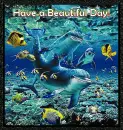 Have a Beautiful day!