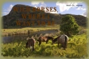 wild horses