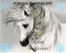 horse