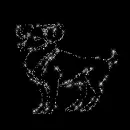 Zodiac Aries