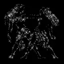 Zodiac Gemini