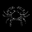 Zodiac Cancer