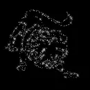 Zodiac Leo