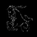 Zodiac Capricorn