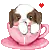 TEACUP PUPPY