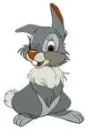 Thumper