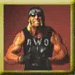 Hulk Hogan