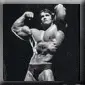 Arnold Schwarzenegger