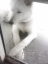 What is love???