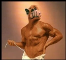 Alf is ripped