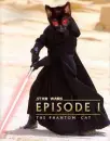 Evil Cat