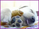 zzzzzzz