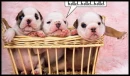 hello!!!