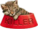 just sleepy...not a killer