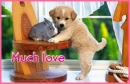 much love