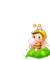 baby bee