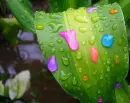 RaInBoW!!!!colorful