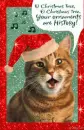 Christmas cat