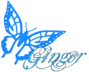 Ginger's Butterfly