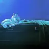 Sleeping Beauty