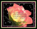 Psalm 145:18