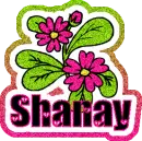 Shanay