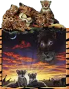 gepard