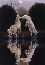 Horses