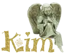 Kim angel